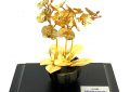 Bộ sưu tập cây bonsai mạ vàng 24k đẹp tinh xảo